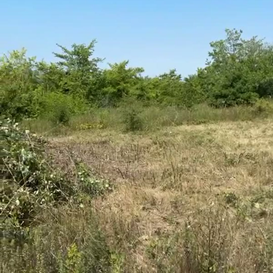 Покос травы